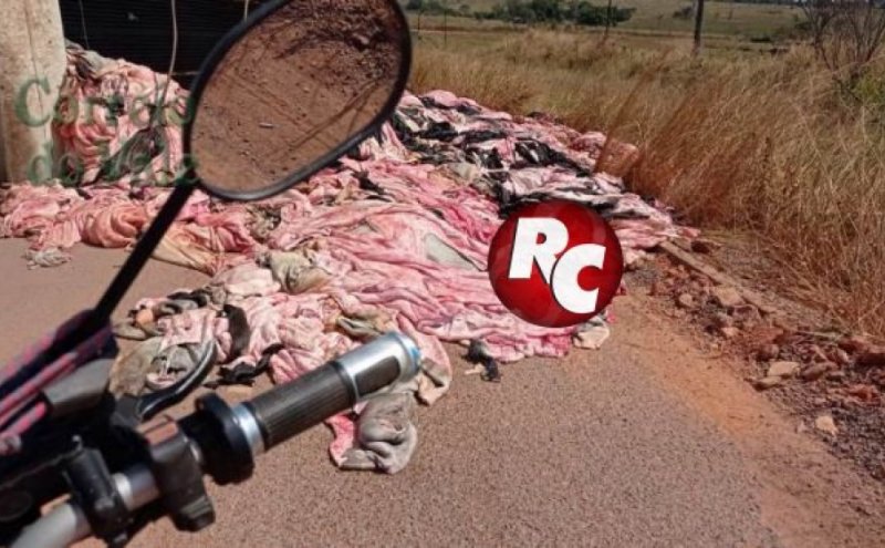 Carreta carregada de couro tomba na BR 429, após motorista tentar desviar de buraco