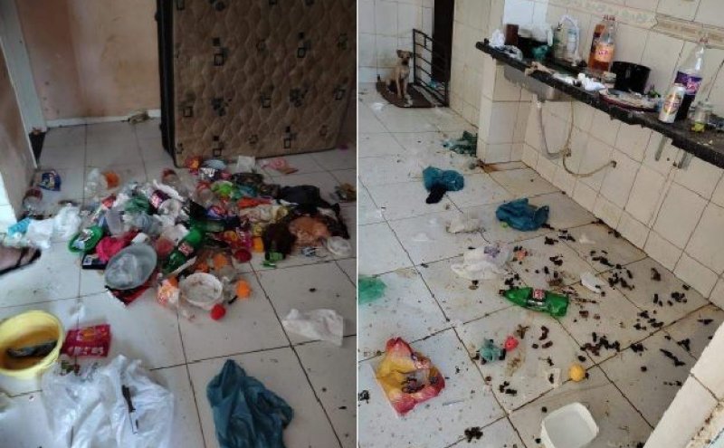 ACREDITE: Criança vítima de maus tratos é resgatada da sua própria casa comendo fezes de cão no Espírito Santo