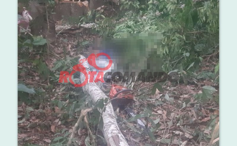 Jovem morre em acidente com árvore na Linha 14 em São Francisco do Guaporé/RO