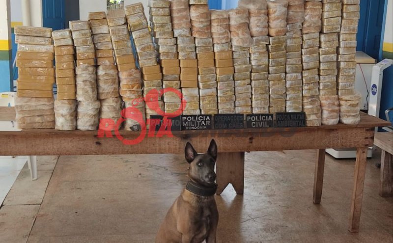 ATUALIZADA - Operação Horus, Polícia apreende 307 kg de droga e prende três suspeitos de tráfico internacional, em São Francisco do Guaporé/RO.