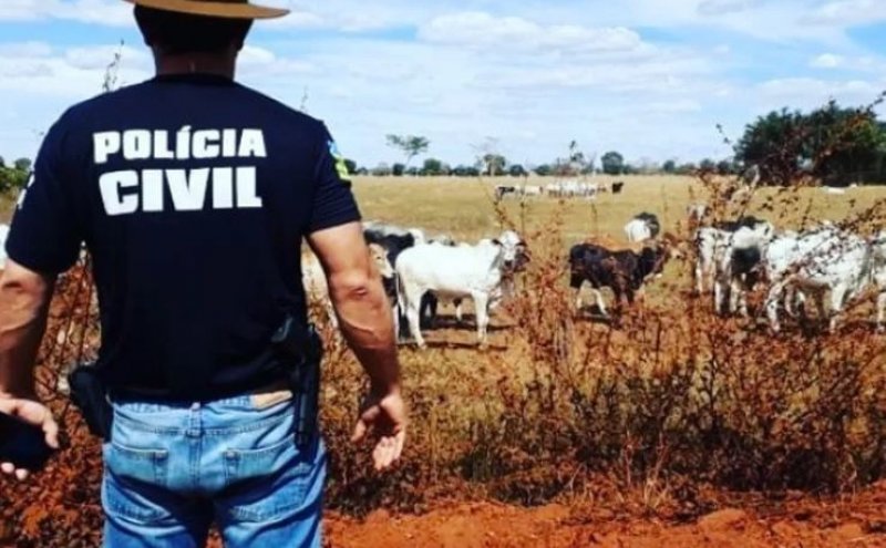 Ladrões de gado podem ter atacado na zona rural de Governador Jorge Teixeira