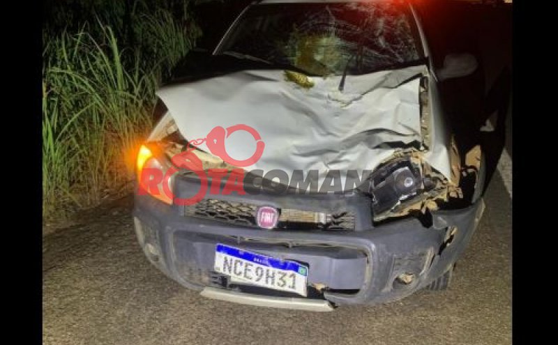 Acidente com animal na BR-429 em Costa Marques /RO.