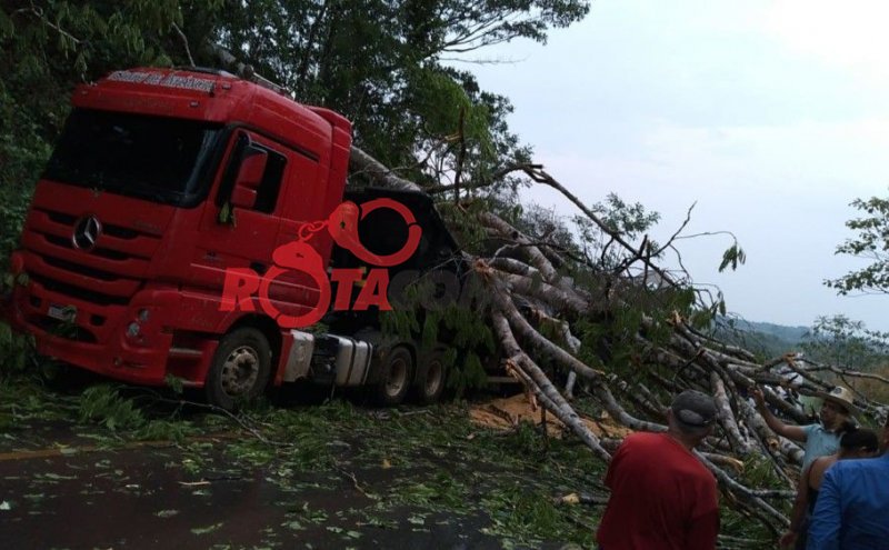 Árvore cai, atinge veículos e deixa BR-364 interditada