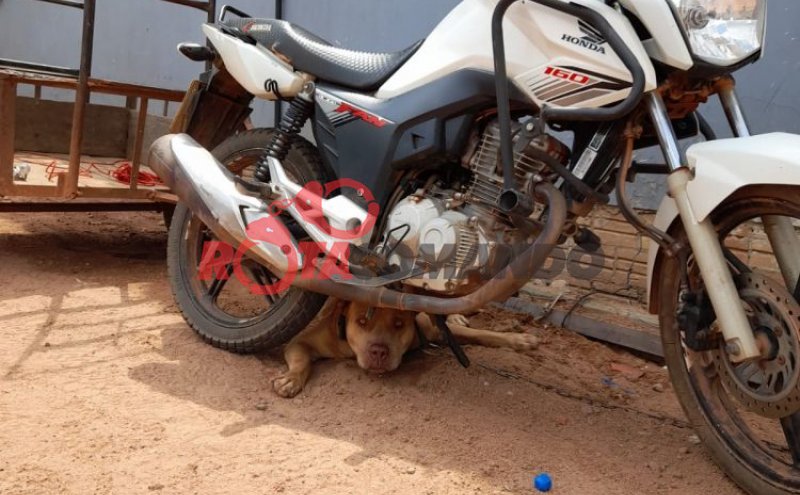 Preso em flagrante, população acredita na prisão de homem acusado de furto de três motocicletas na Região da BR 429