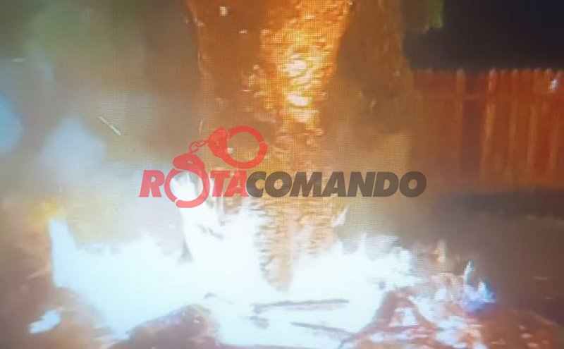 Incêndio criminoso atinge mangueira em São Francisco do Guaporé
